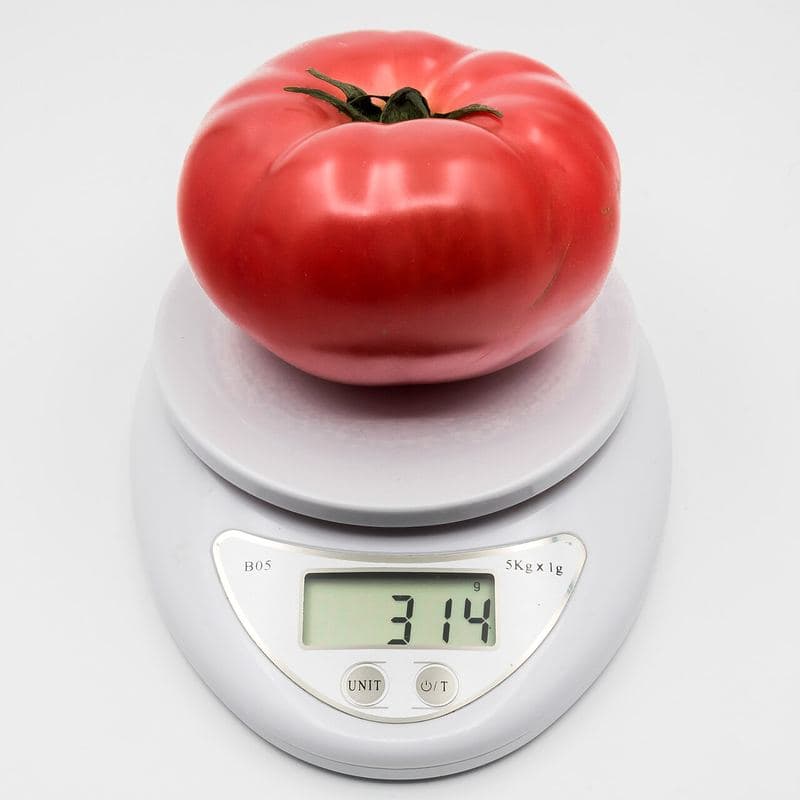 White digital scale weighing an item